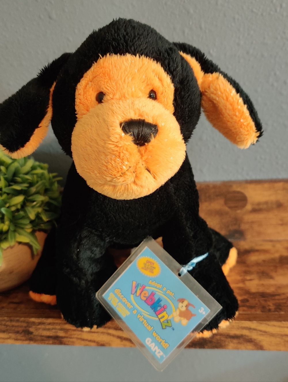 Webkinz Halloween Dog Pumpkin Puppy Plush Black Stuffed Animal Ganz Not Sealed